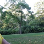 Pilates Trainer Nina im Park beim Outdoor Training